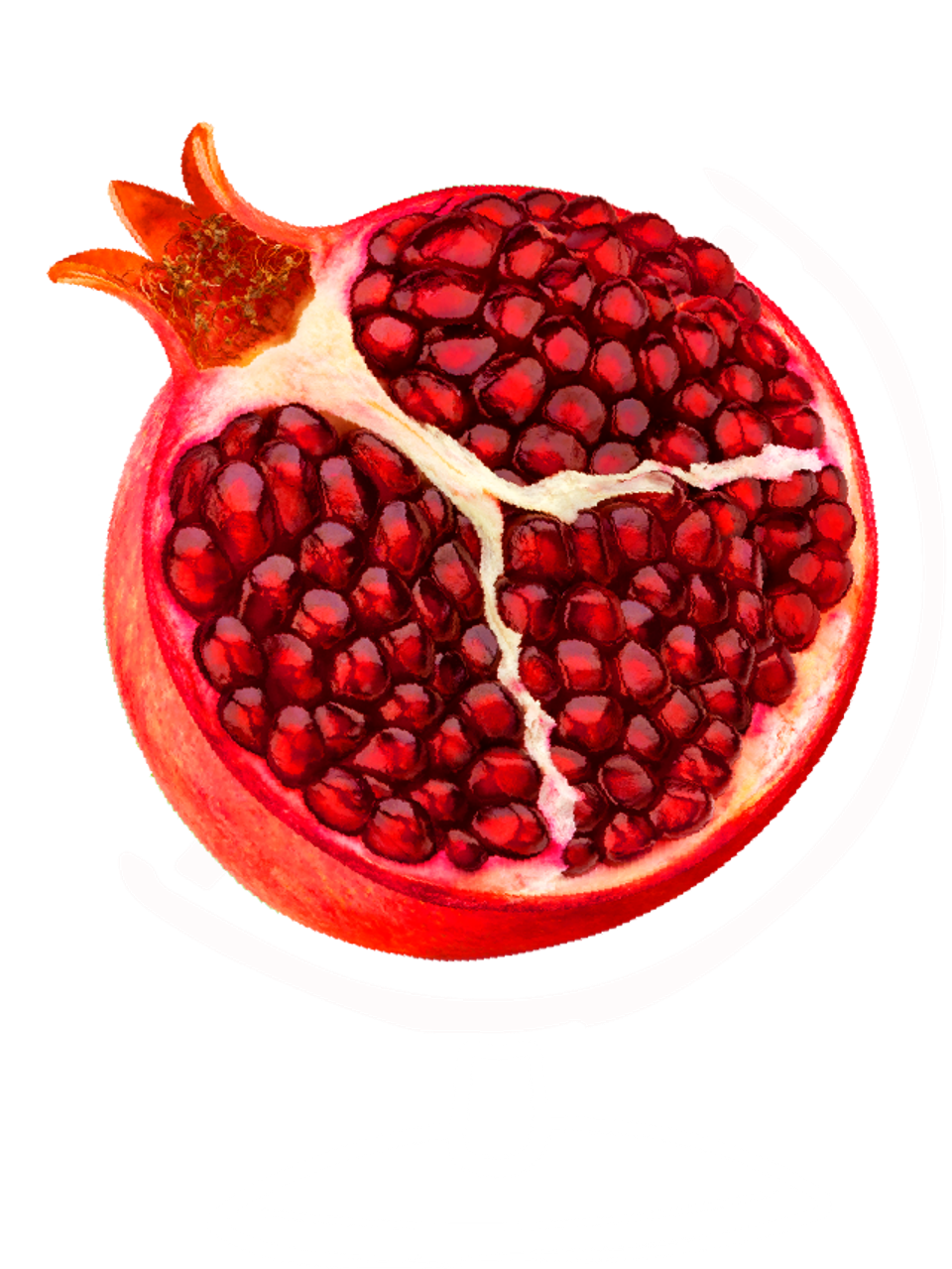 Pom Globe